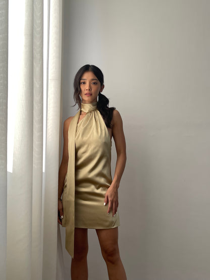 ERIN DRESS