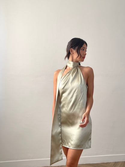 ERIN DRESS