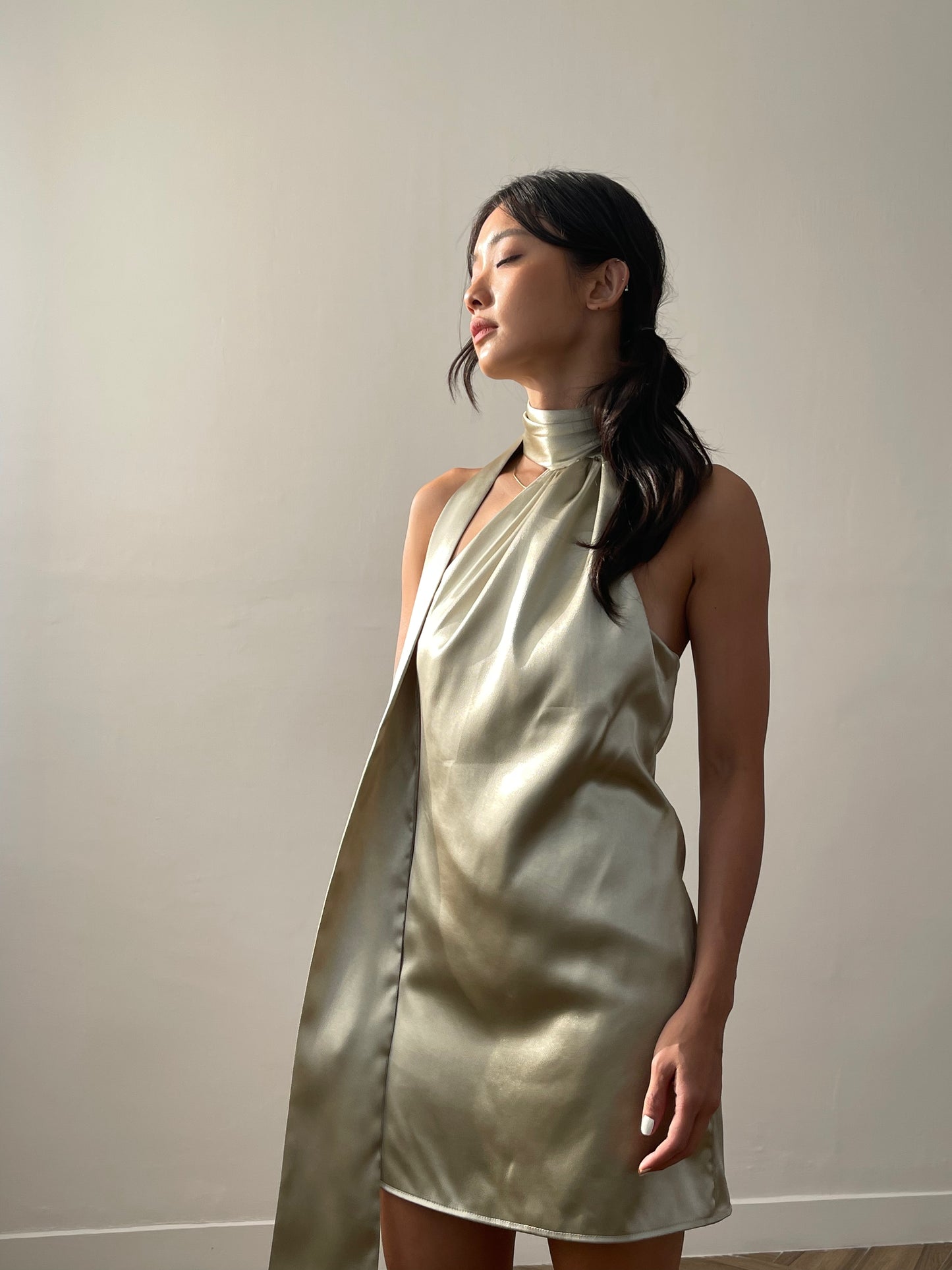 ERIN DRESS